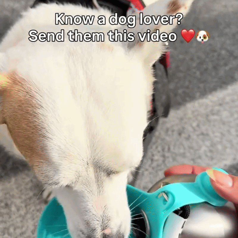 HappyPawsGo™ - Portable Bottle